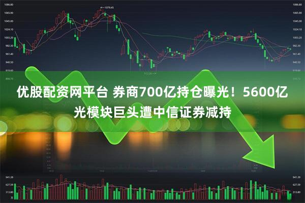 优股配资网平台 券商700亿持仓曝光！5600亿光模块巨头遭中信证券减持